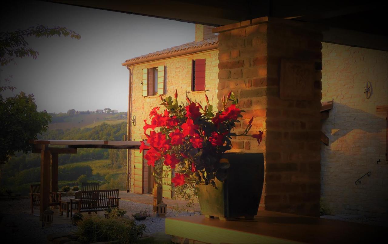 Quelli Del Picchio Bed & Breakfast Cupramontana ภายนอก รูปภาพ