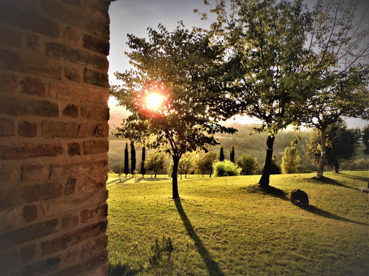 Quelli Del Picchio Bed & Breakfast Cupramontana ภายนอก รูปภาพ