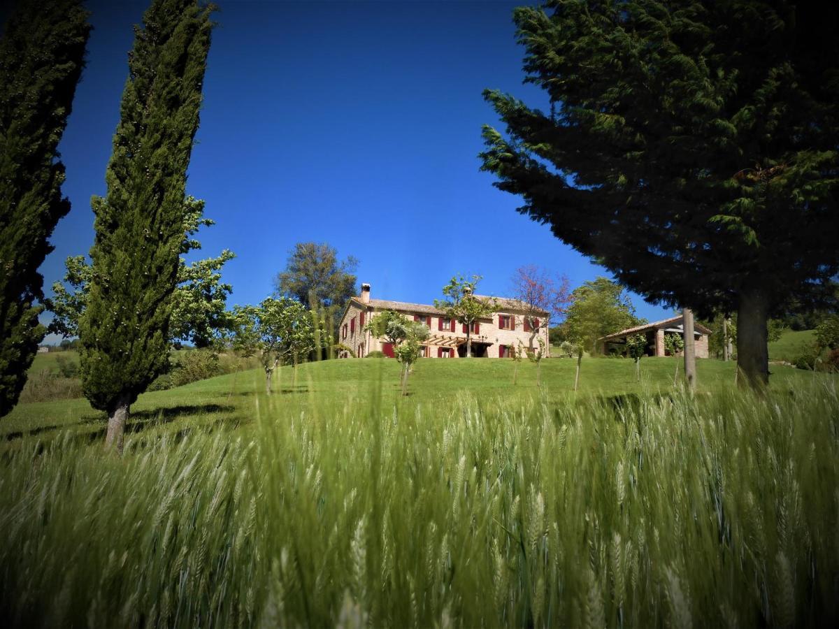 Quelli Del Picchio Bed & Breakfast Cupramontana ภายนอก รูปภาพ