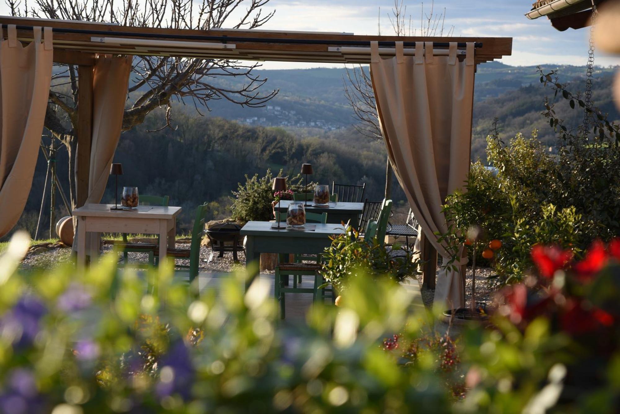 Quelli Del Picchio Bed & Breakfast Cupramontana ภายนอก รูปภาพ
